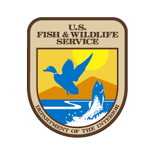 Culebra Boat Tour, Boat Tours & Snorkeling Adventures, Discover Culebra & Culebrita, water taxi, Private boat tours, SWTravelPR, Catamaran Culebra charters, Culebrita PR, Culebra PR